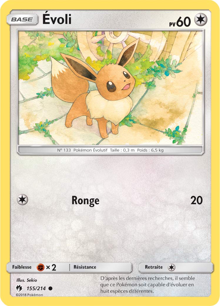 Pokémon: Decks Let’s Play Pikachu et Évoli du JCC Pokémon du JCC Pokémon (2 Decks prêts à l’Emploi de 60 Cartes avec Accessoires)