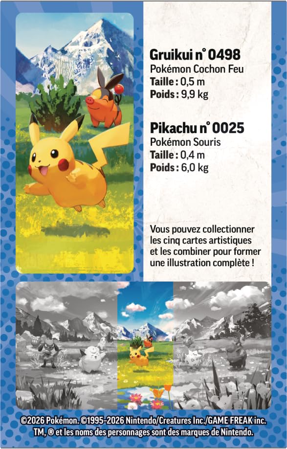 Pokémon : Mini-boîte Méga-Évolution – Héros Transcendants – Pikachu et Gruikui (1 Page d’Autocollants, 1 Carte Artistique et 2 boosters)