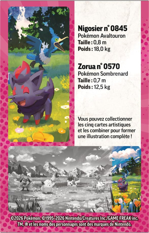 Pokémon : Mini-boîte Méga-Évolution – Héros Transcendants – Zorua et Nigosier (1 Page d’Autocollants, 1 Carte Artistique et 2 boosters)